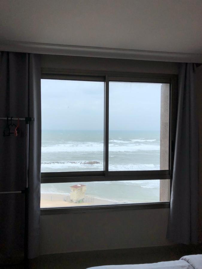 海法Almog Tower公寓式酒店 外观 照片